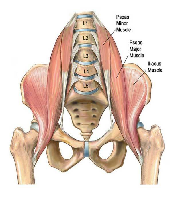 5 Exercises for Tight Hip Flexors – Movement Enhanced
