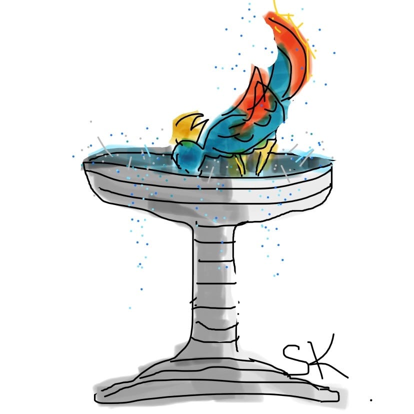 Cartoon line drawing by Sherry Killam Arts showing a bird with colorful tail feathers enjoying a splash in a gray bird bath.