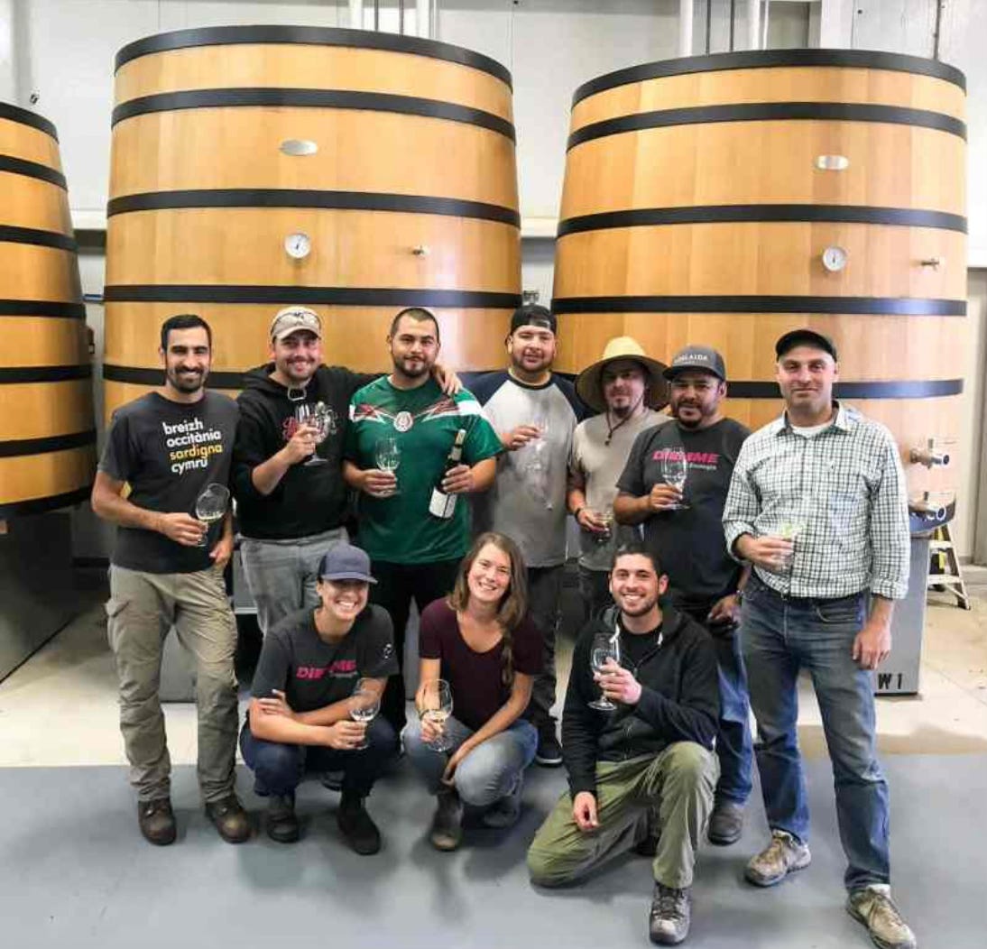 winemaking team, cellar crew in winery