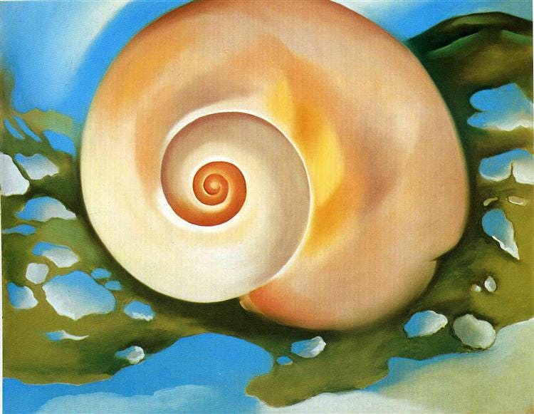 Pink Shell with Seaweed, 1937 - Georgia O'Keeffe