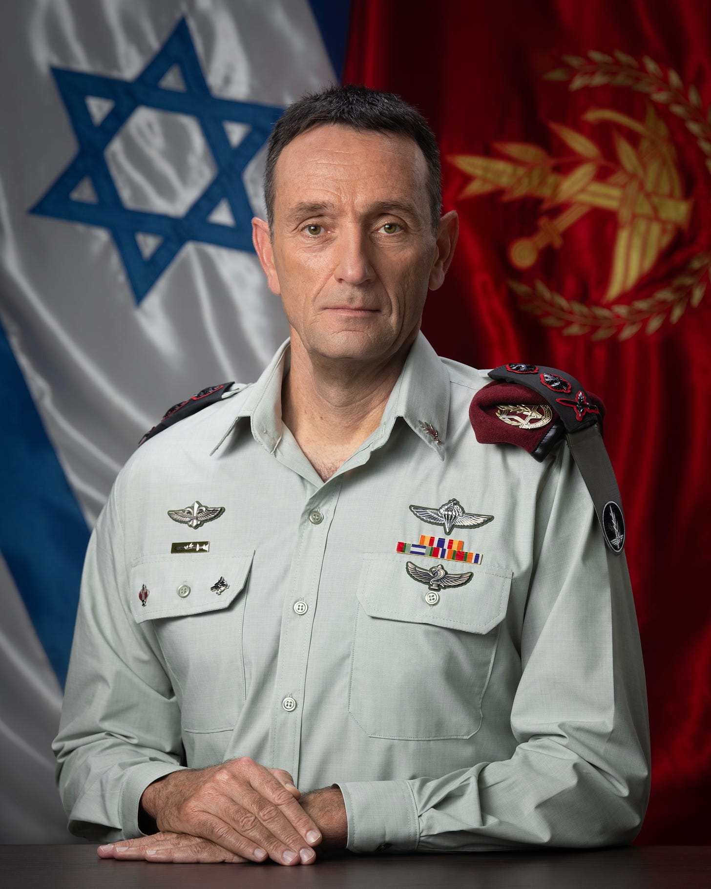IDF commander in chief herzi halevi