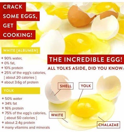 The Incredible egg 