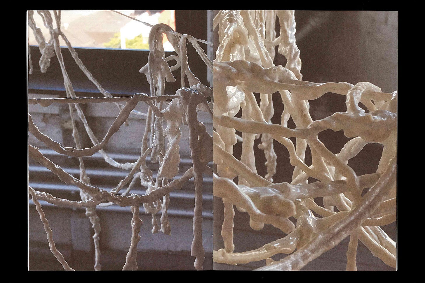 Spread from a book showing two cropped photographs, both of hanging tangles of string coated in wet, creamy-white, latex.