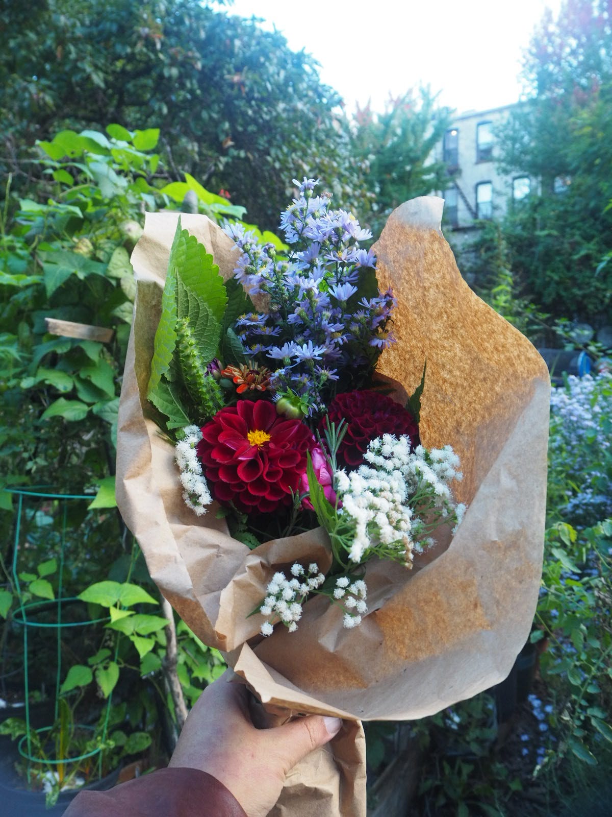 Photo of a bouquet of flowers picked from the urban community farm
