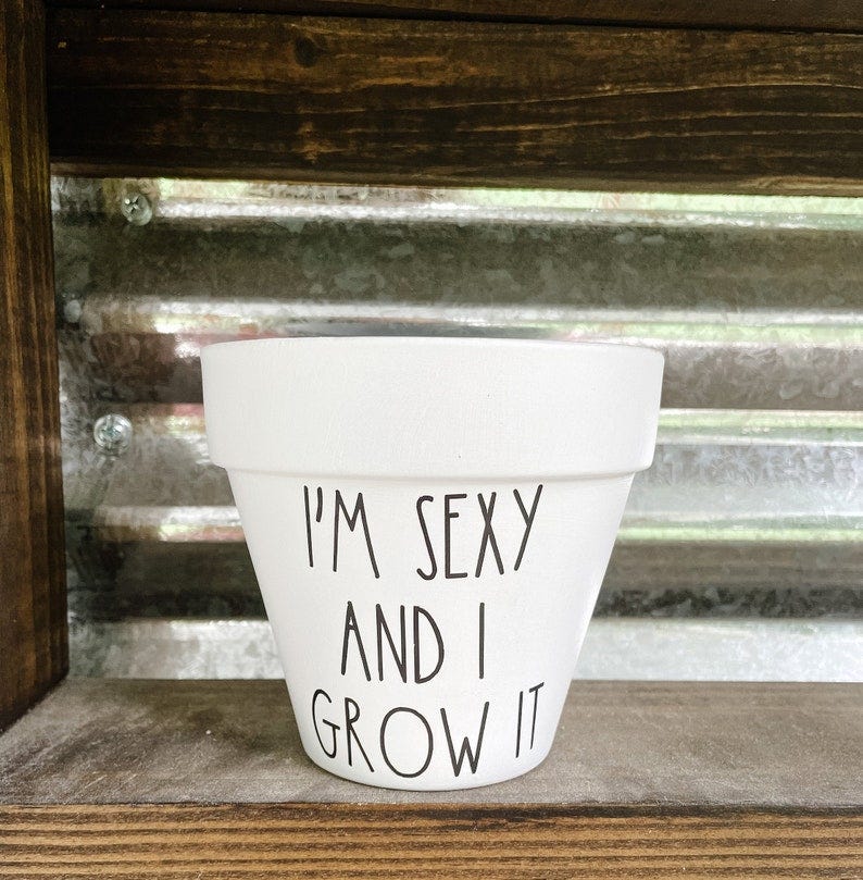 I'm Sexy and I Grow It Planter Plant Pot Funny Pot image 2
