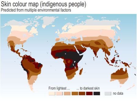 Skin color: an example of adaptation to the environment - Sruk