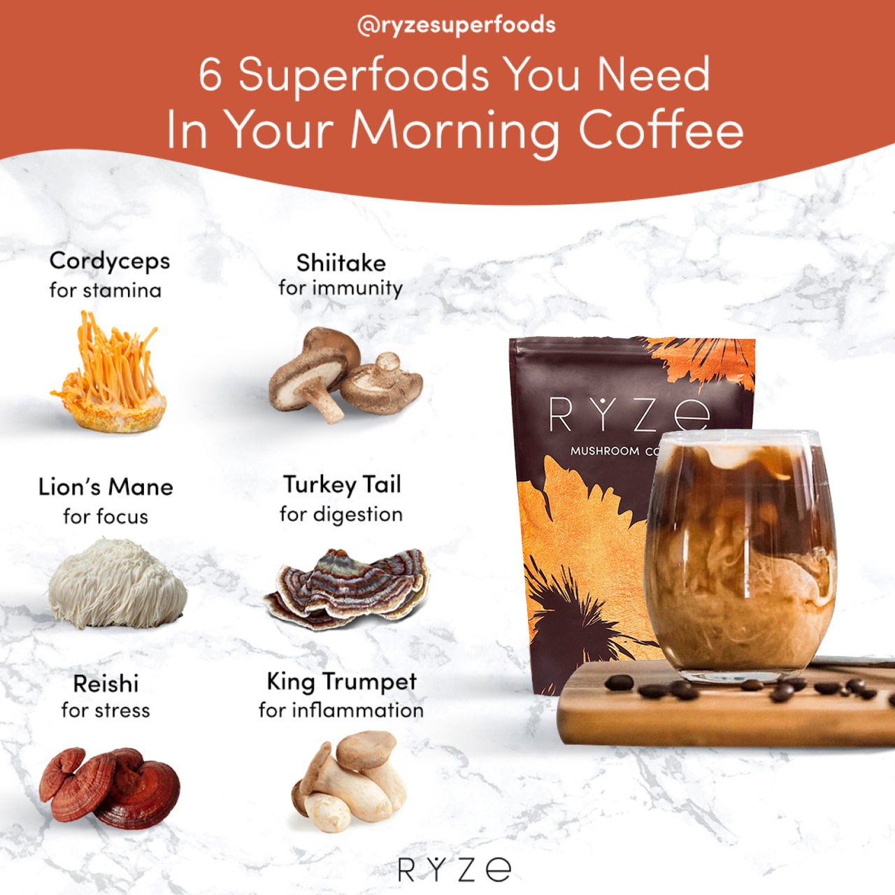 Mushroom Coffee (30 Servings)