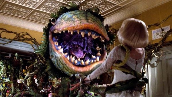 Little Shop Of Horrors (1986) Movie Review from Eye for Film