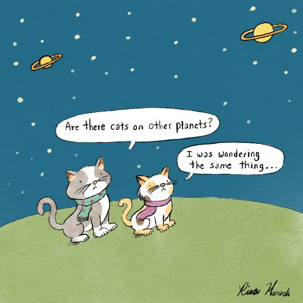 Two cats are sitting on the green slope of a planet, a grey spotted cat with a green scarf and an orange spotted cat with a purple scarf. "Are there cats on other planets?" asks the grey cat, "I was wondering the same thing..." says the orange cat.