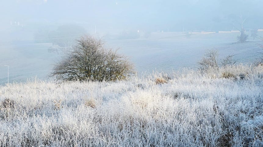 snow covered fields in new south wales oberon