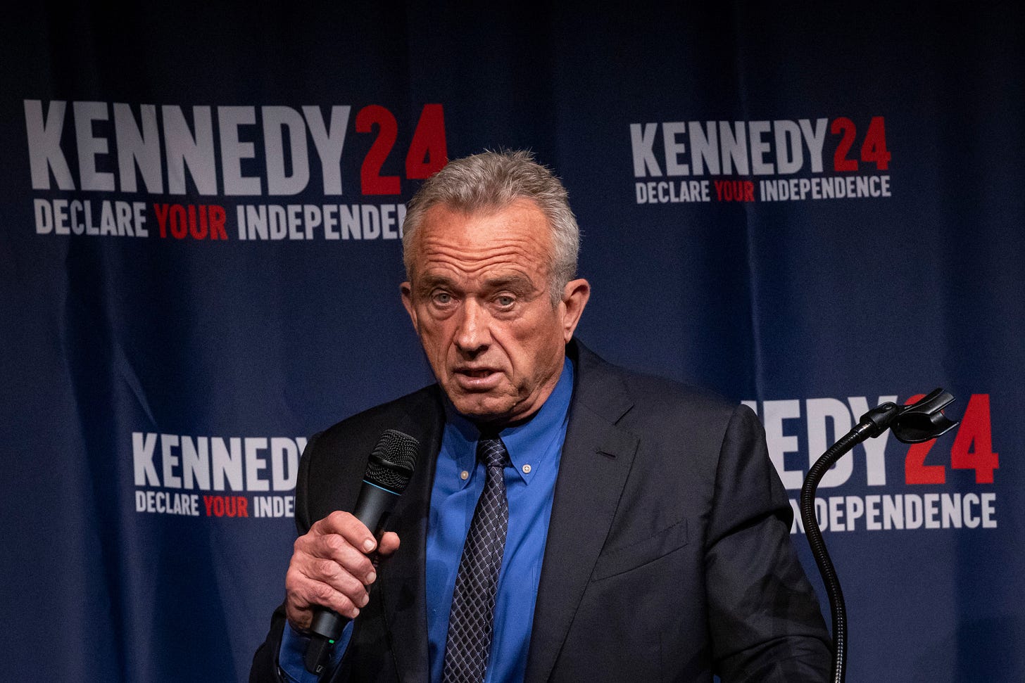 Robert F Kennedy Jr 2024 Polls - Lonee Rafaela