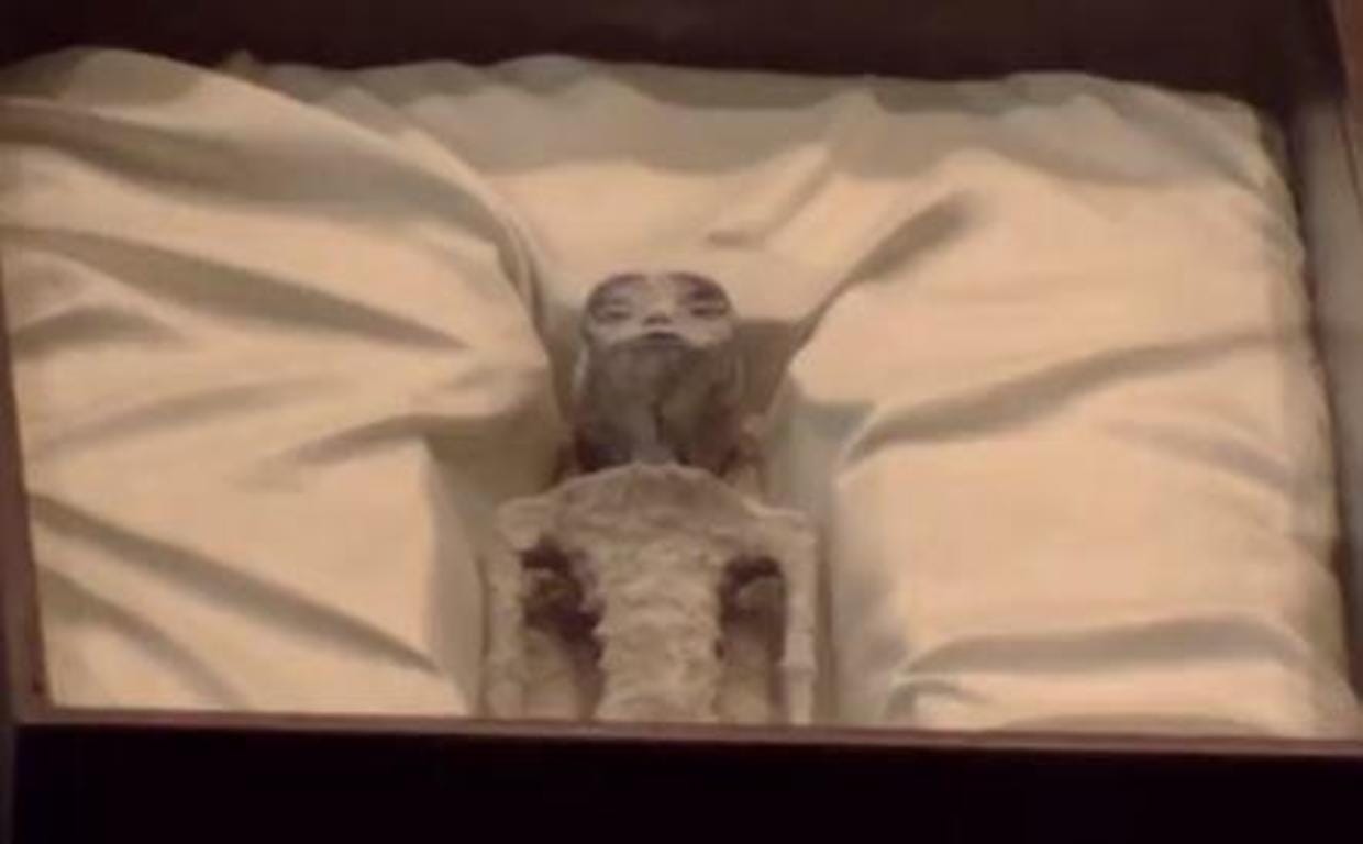 A seemingly mummified remains of an alien body