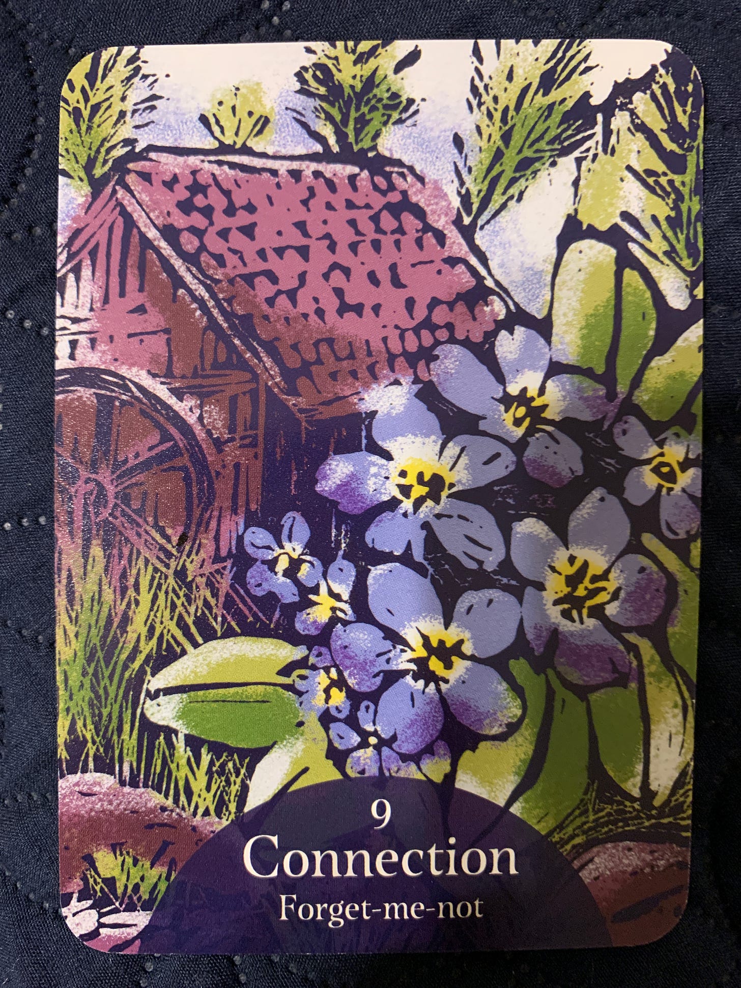 Oracle card illustrated with blue forget-me-nots. The meaning, Connection, is written at the bottom, as well as the name of the flower: Forget-me-not.