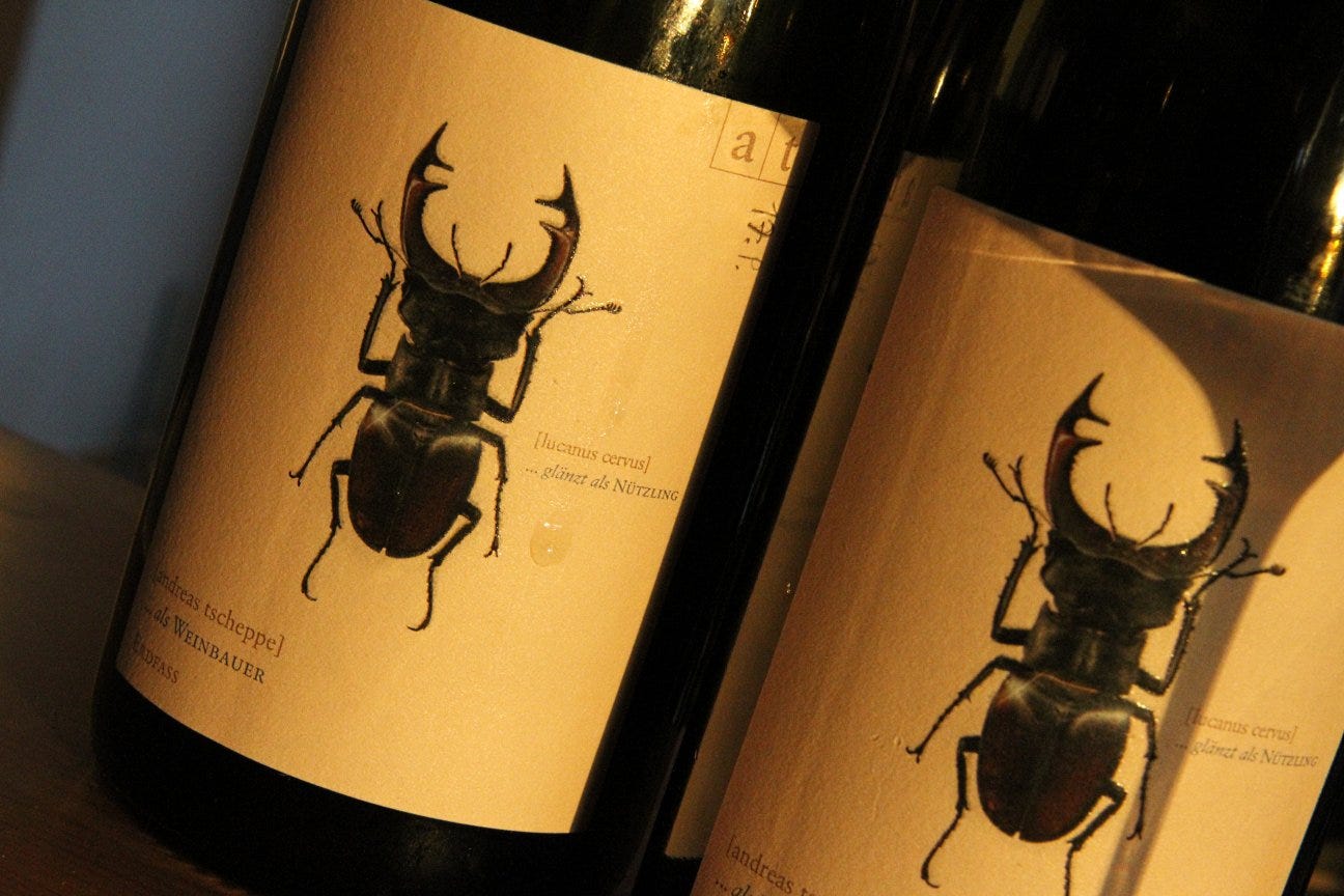 Andreas Tscheppe - Stag Beetle Erdfass 2011 + 2012