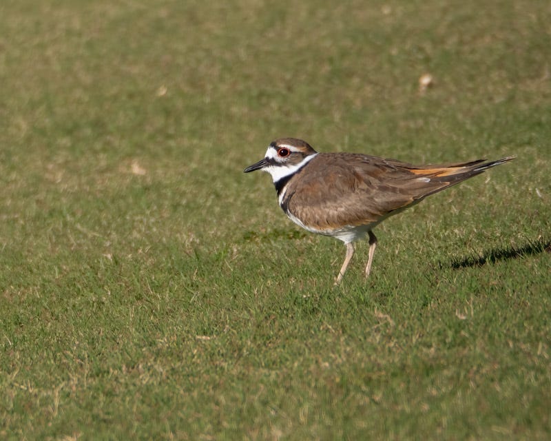 20250324-SGC-145-Edit.jpg