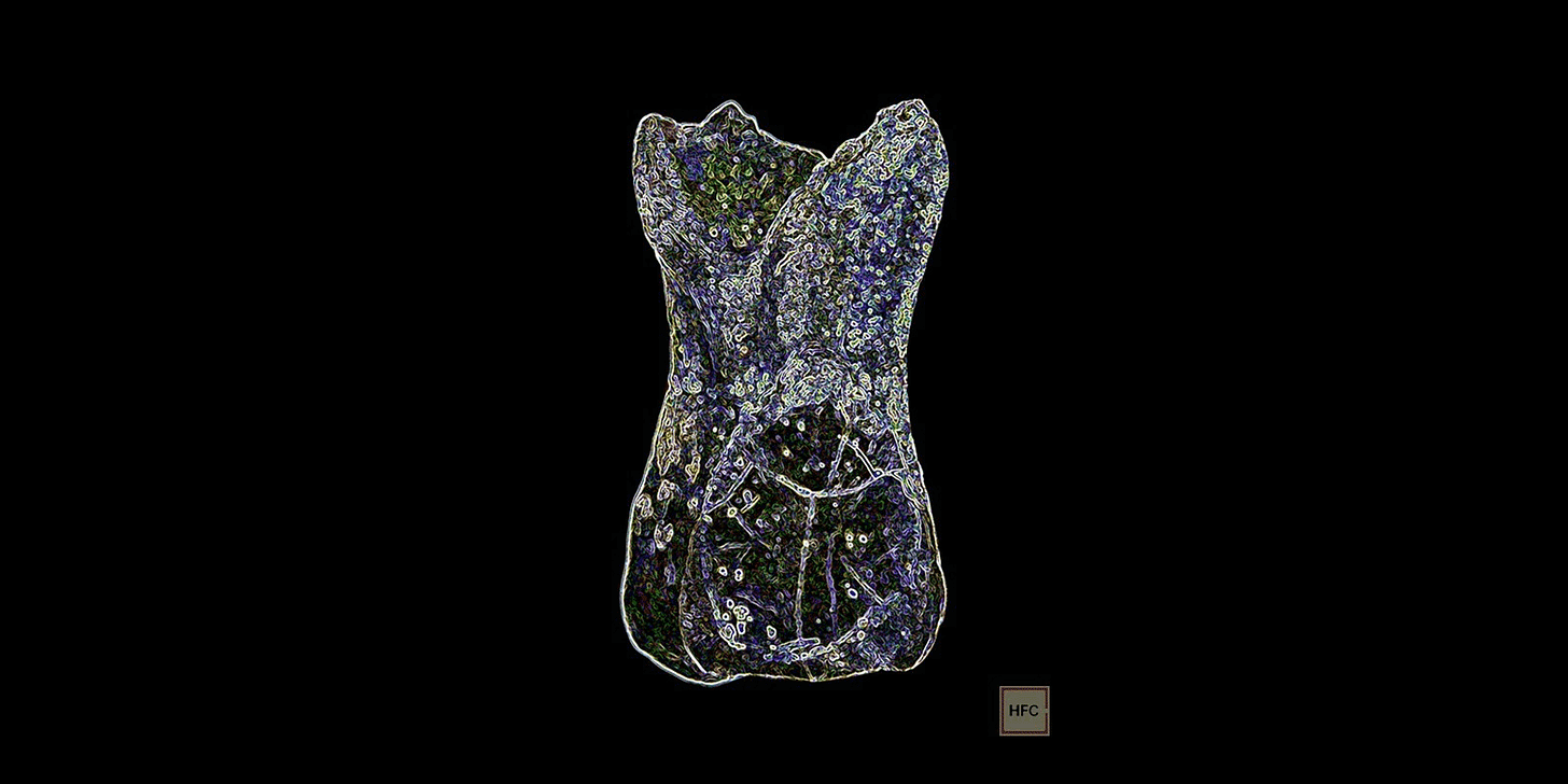 Image of a Neandertal molar tooth with stylized colors