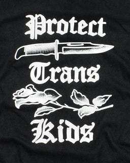 Protect Trans Kids Unisex Shirt – Strange Ways
