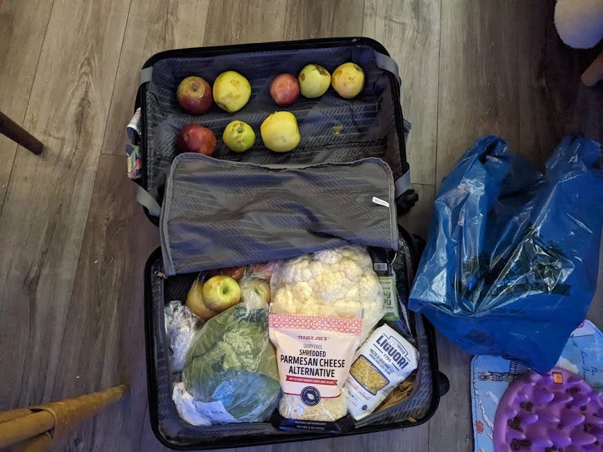an open suitcase with cauliflower, cabbage and apples