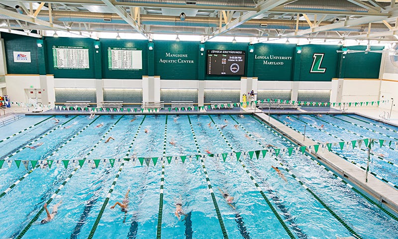 Swimmers sharing every lane of the pool, doing laps, as green and grey flags hang overhead