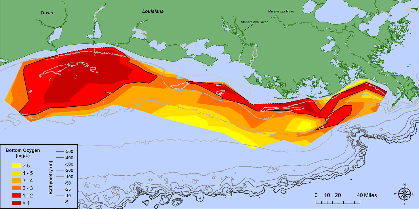 Larger-than-average Gulf of Mexico 'dead zone' measured | National Oceanic  and Atmospheric Administration