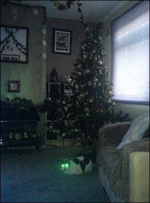 A badly lit living room, showing a couch to the side, a christmas tree and some decorations int the background. Underneath the tree, a white and black cat stares at the viewer with glowing green eyes.