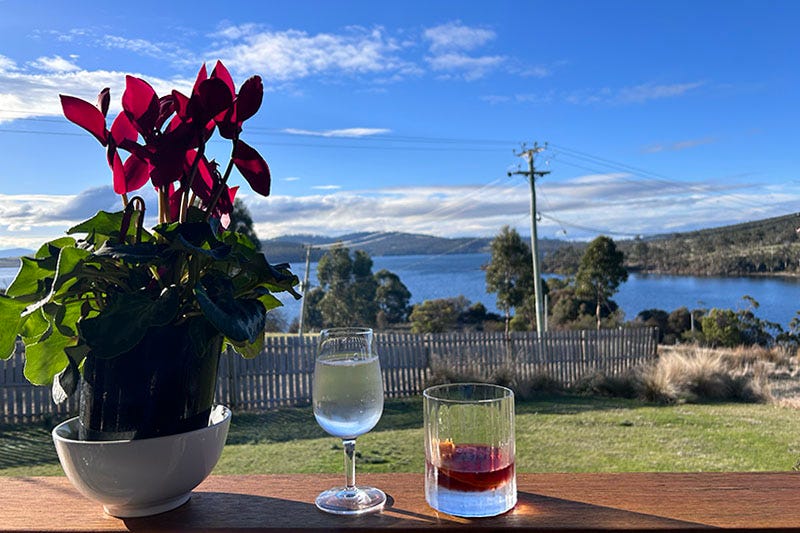 Boulevardier cocktail and a cyclamen sitting on a ledge at Bruny Island House of Whisky.