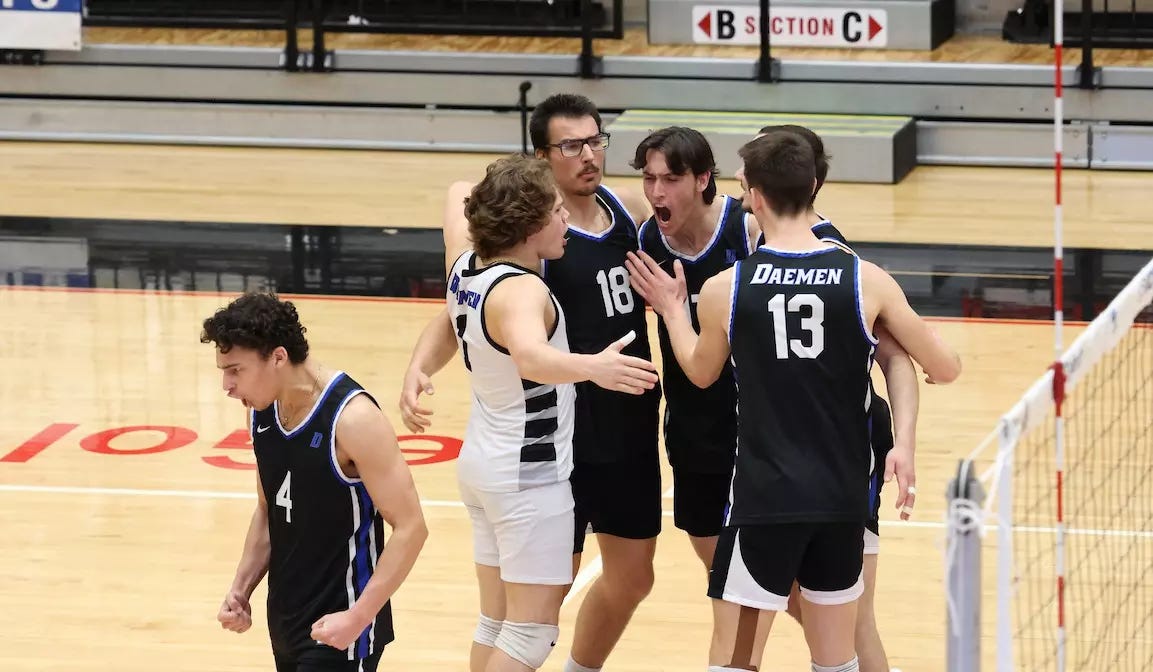 Men's volleyball celebrates after a point against LIU