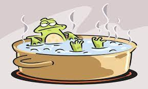 THE BOILING FROG: THE RISKS OF A HIGH LEVEL ADAPTABILITY