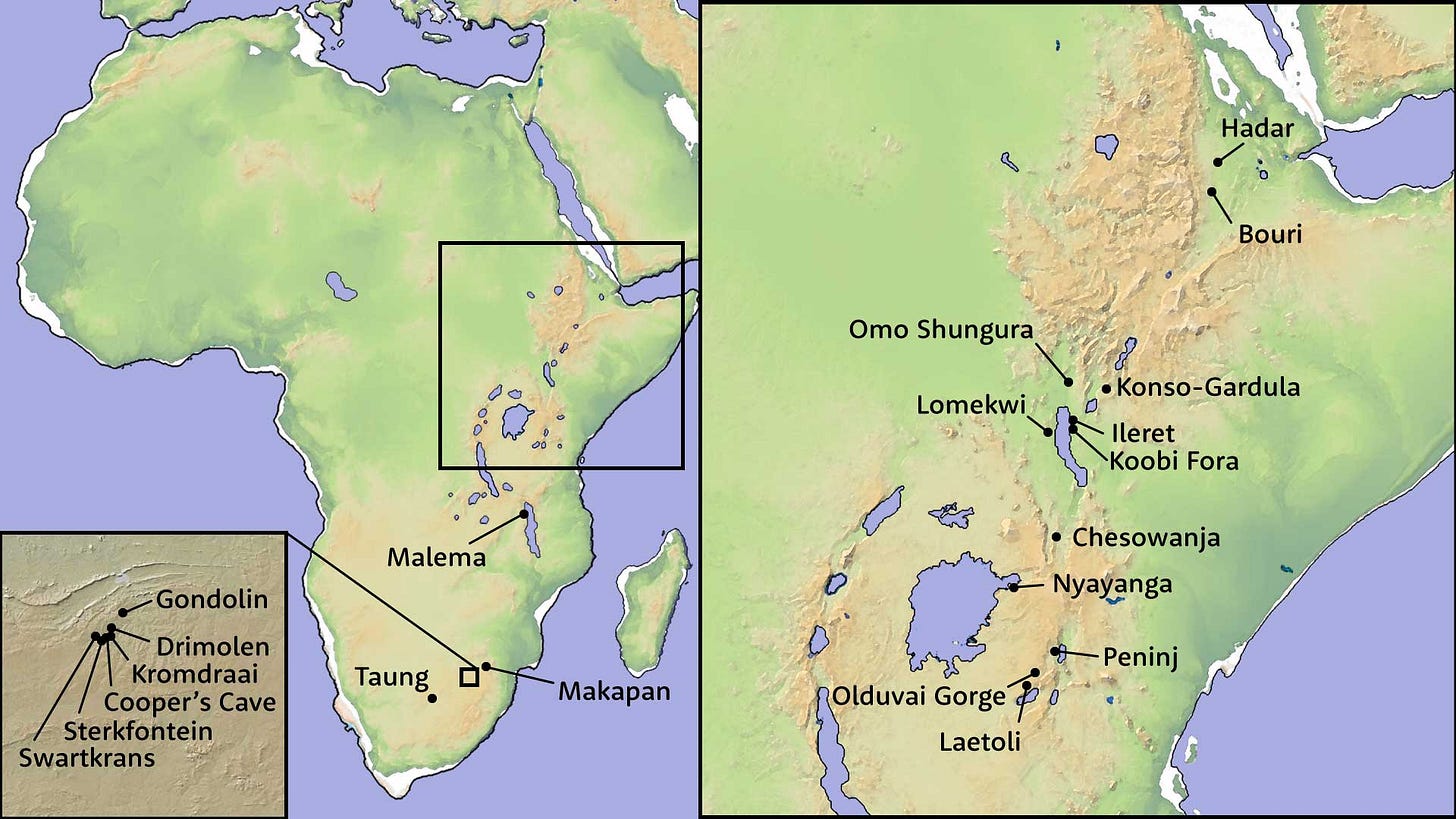 Map of Africa with insets for the southern African cave sites and the eastern African Rift System, with fossil sites indicated. Map of Africa with insets for the southern African cave sites and the eastern African Rift System, with fossil sites indicated.