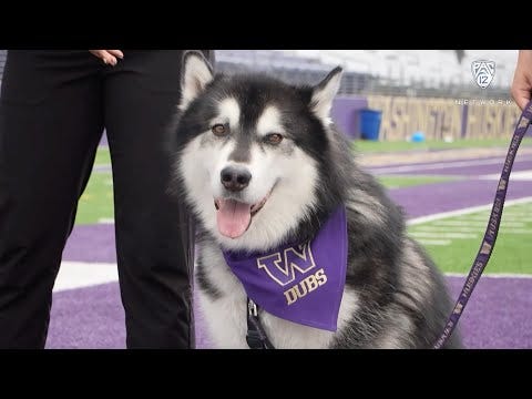 Get To Know Dubs - YouTube
