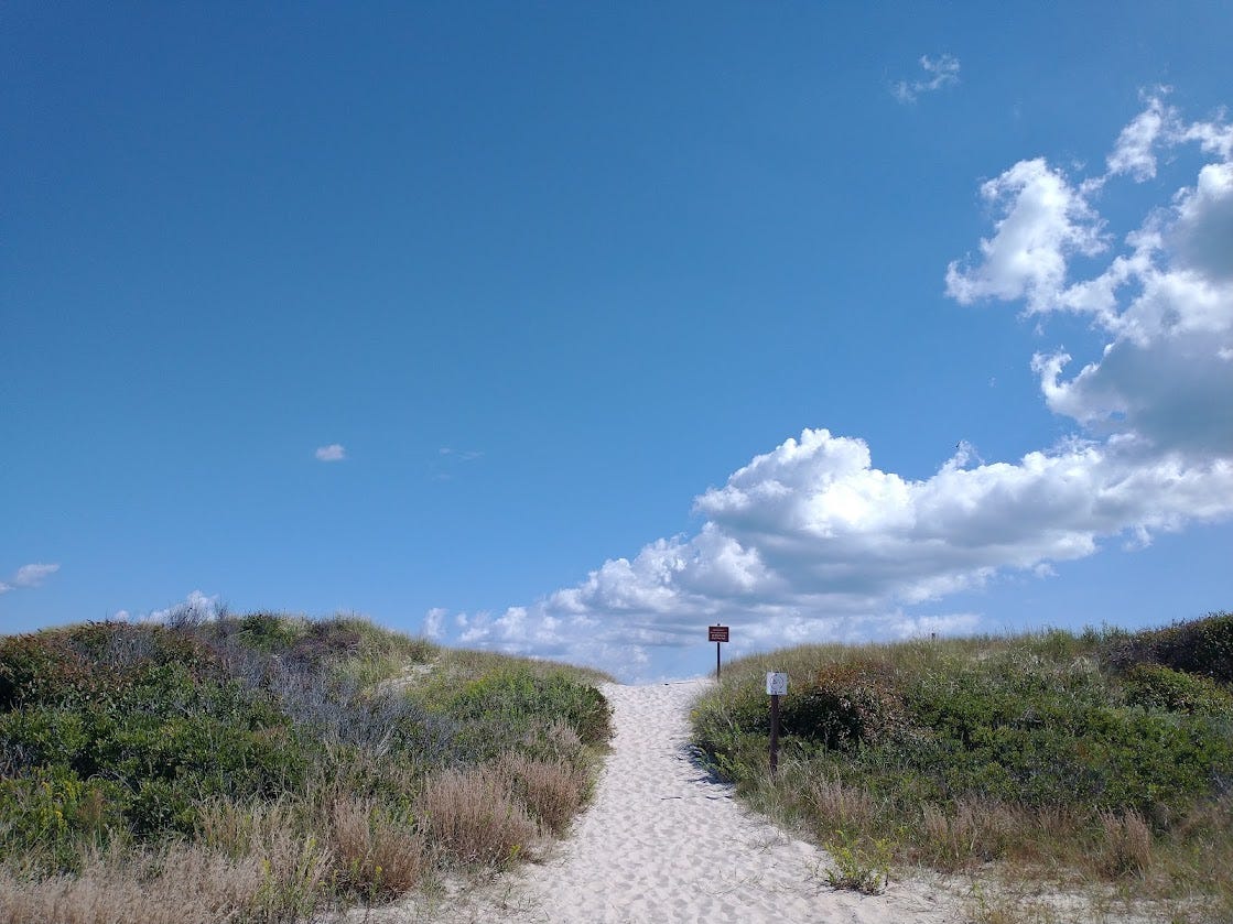 A path through sand dunes to an isolated beach on Assateague Island on a beautiful fall day.
