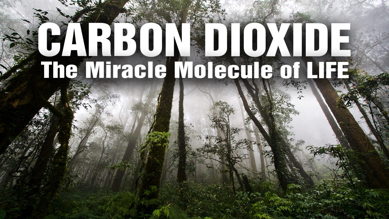 Carbon Dioxide revealed as the "Miracle Molecule of Life" for re ...