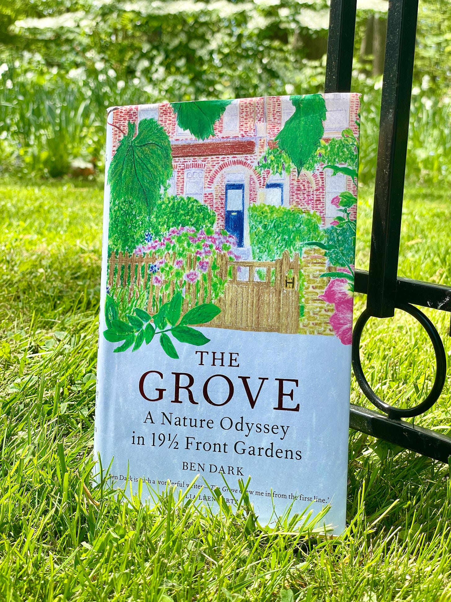 The Grove by Ben Dark in our Daffodil Dell this week. 