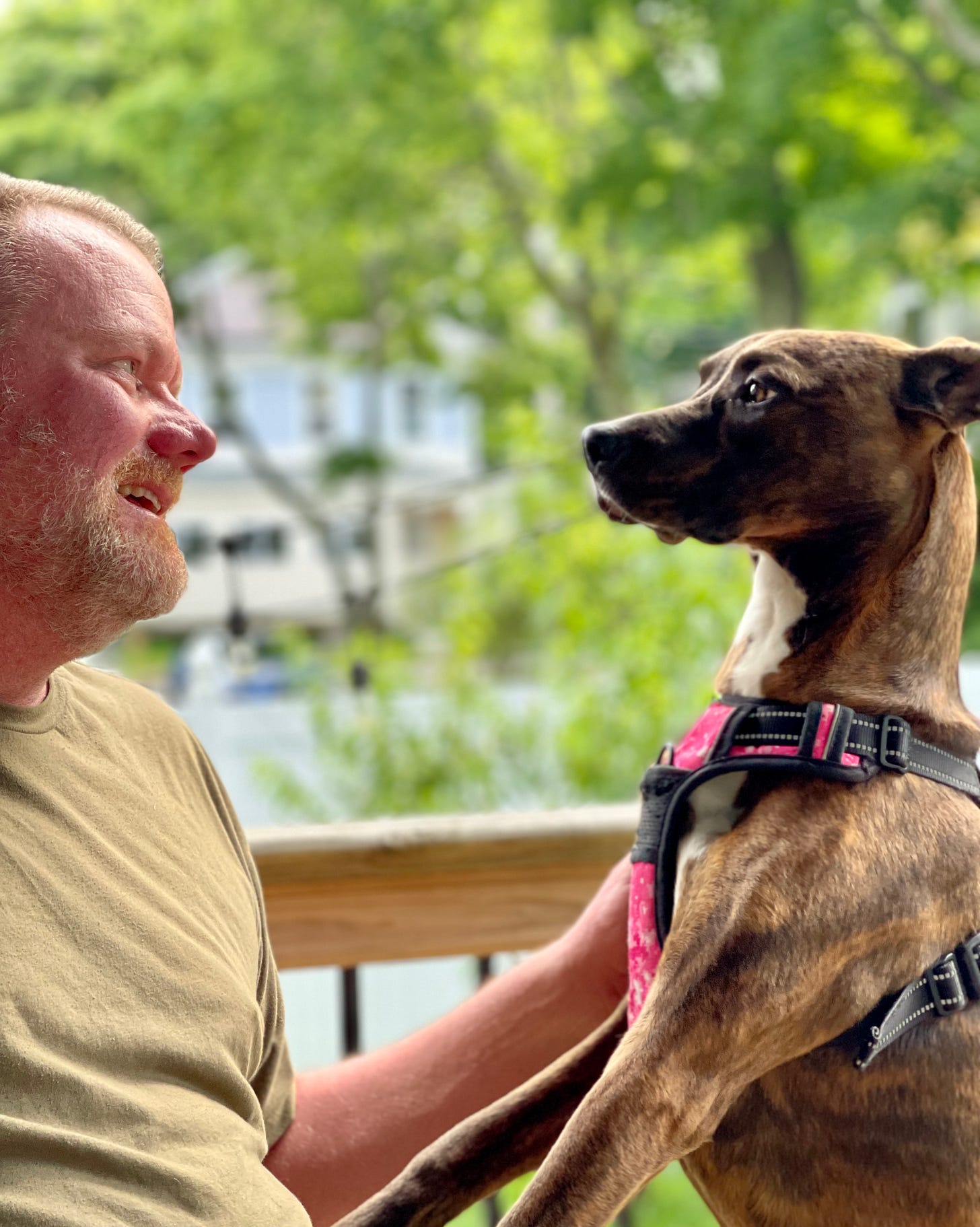 Man and dog outside, staring into each others' eyes