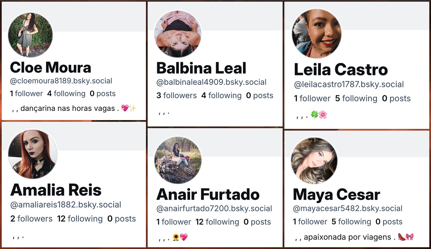 screenshots of six accounts with malformed biographies