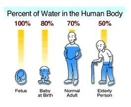 How Much Of Your Body Is Water? What Percentage?, 50% OFF