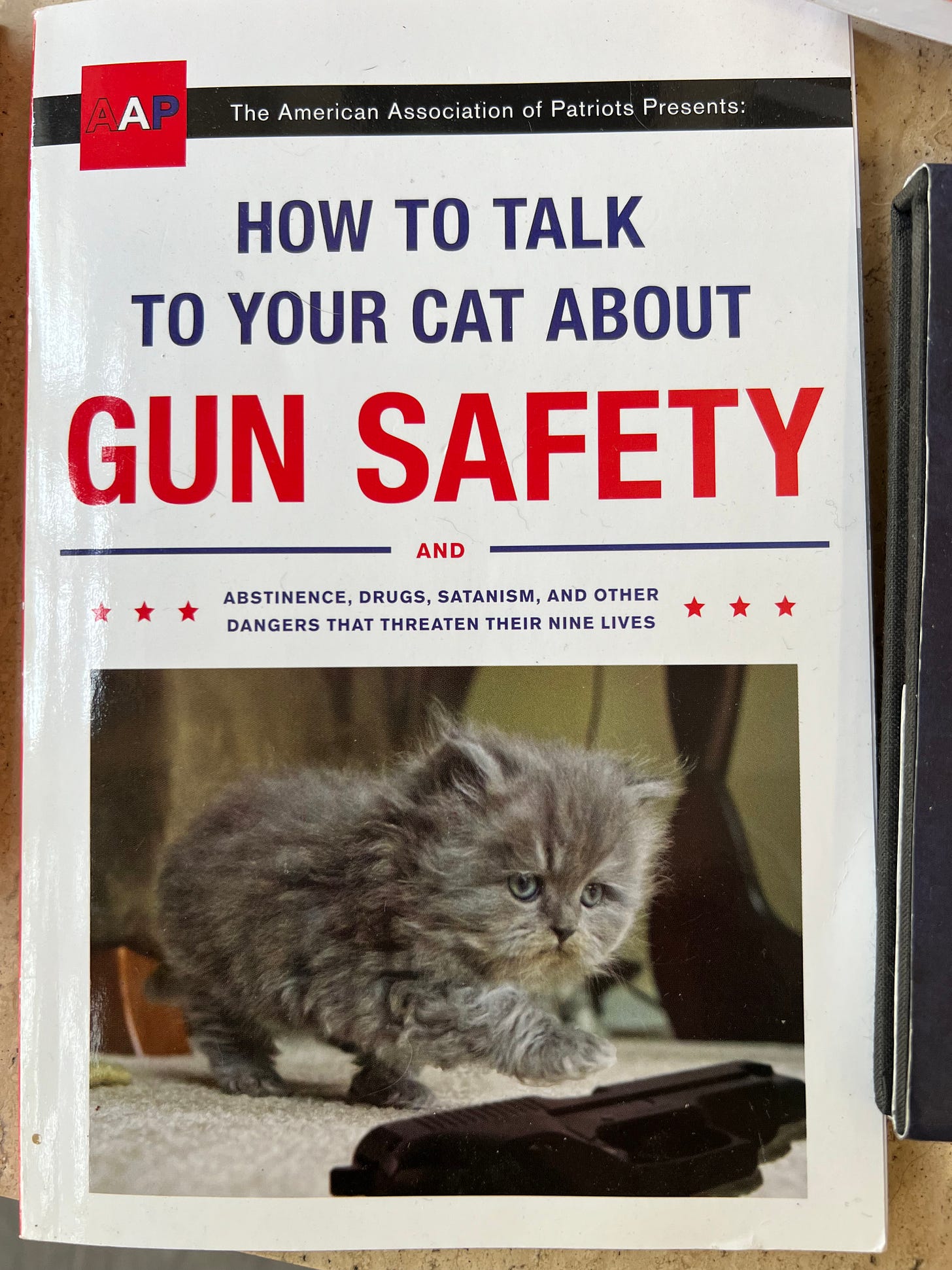A book from the American association of patriots entitled: How to Talk to Your Cat About Gun Safety and Abstinence, drugs, statism, and other dangers that threaten their lives. A photo of a grey kitten about to paw at a handgun.