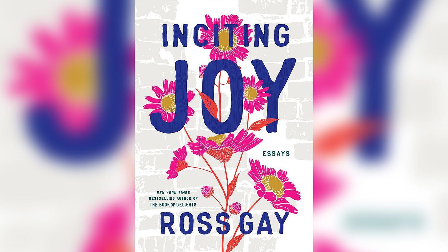Poet Ross Gay on his new book and finding joy in sorrow | CNN