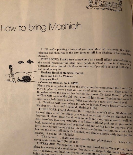 How to bring mashiach from the jewish catalog