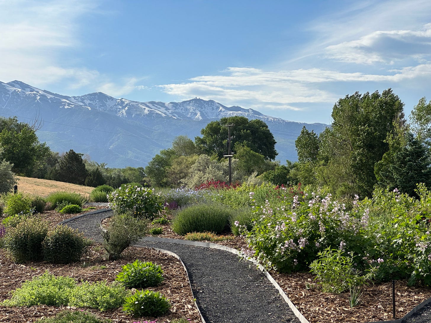 garden path with mountain view