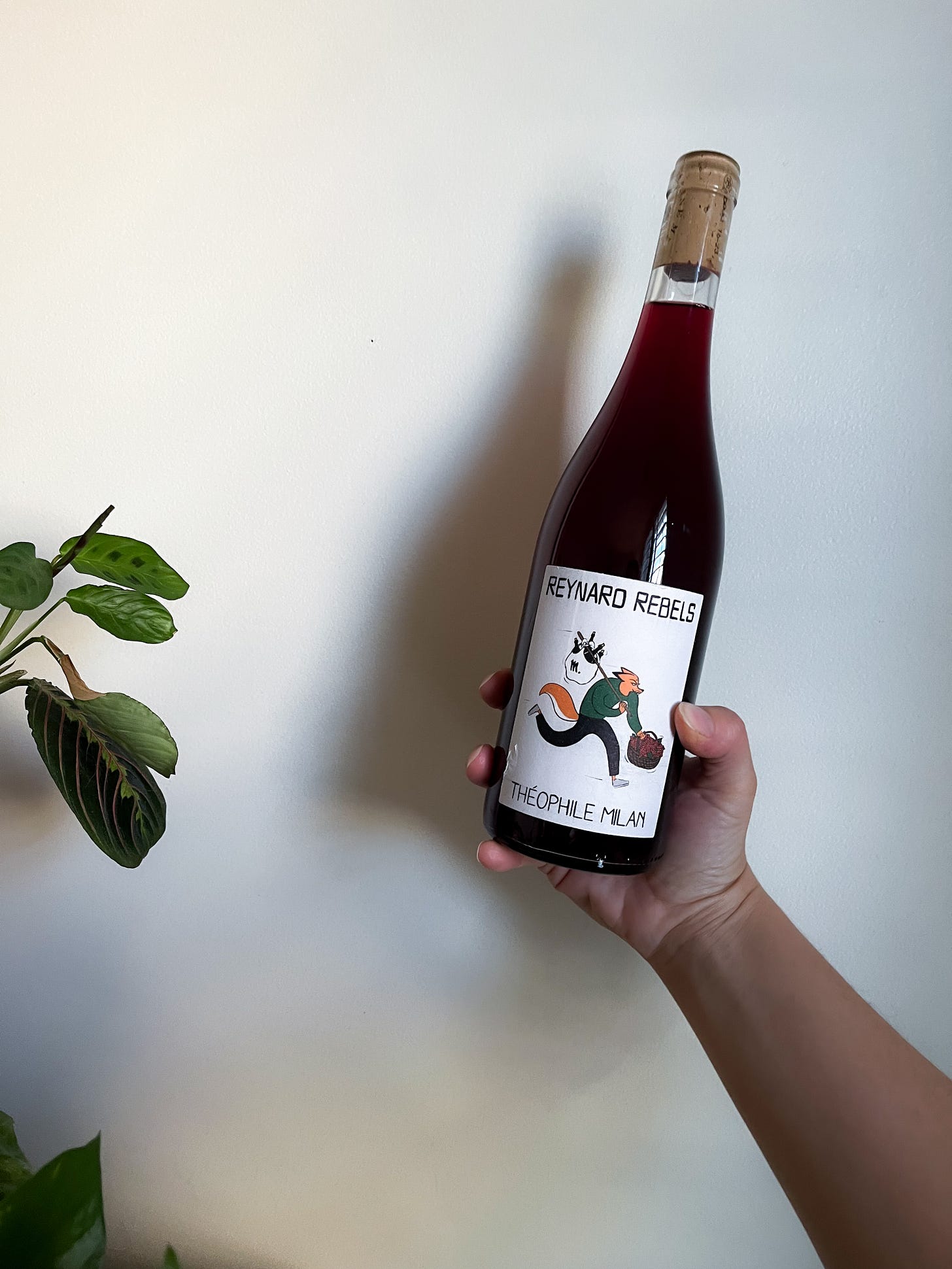 Natural wine recommendations for spring by food and travel writer Courtney Jill Bishop.