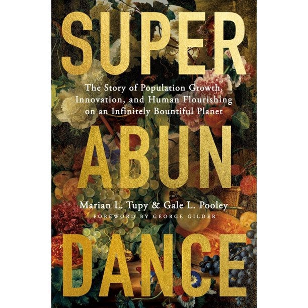Superabundance : The Story of Population Growth, Innovation, and Human Flourishing on an Infinitely Bountiful Planet (Paperback)