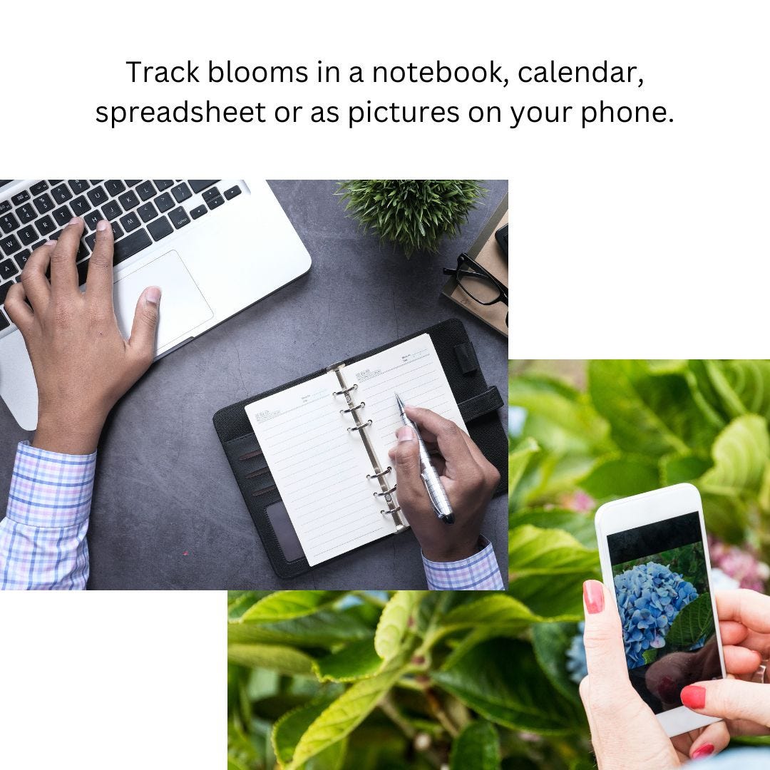 top left a close up of man's hands on a keyboard and writing in a calendar; bottom right is a woman's hand holding a phone photographing a flower