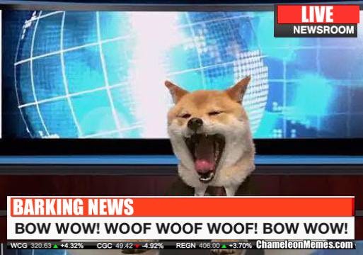 chameleon memes on X: "BARKING NEWS #meme #memes #dog #dogs #dogmeme  #funnydogmeme https://t.co/6JOvkniyho" / X