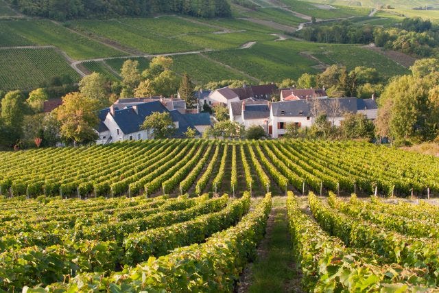 Pol Roger Portfolio adds Domaine Vacheron to stable - The Drinks Business