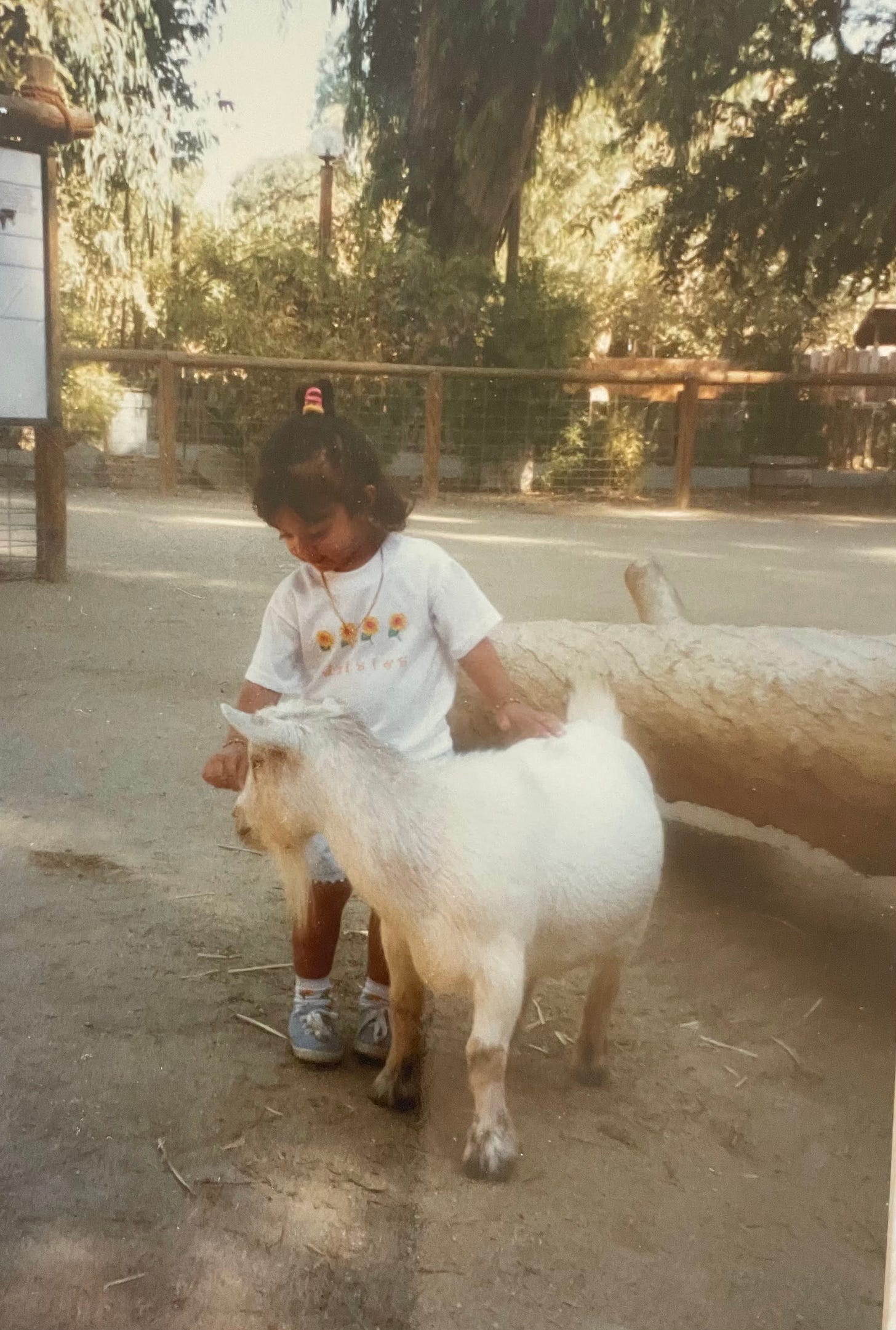 A brown-skinned toddler pets a white goat. She has a ponytail and wears a white top with flowers on it. The enclosure in which she and the goat stand is closed off by a wooden fence and contains a tree trunk.