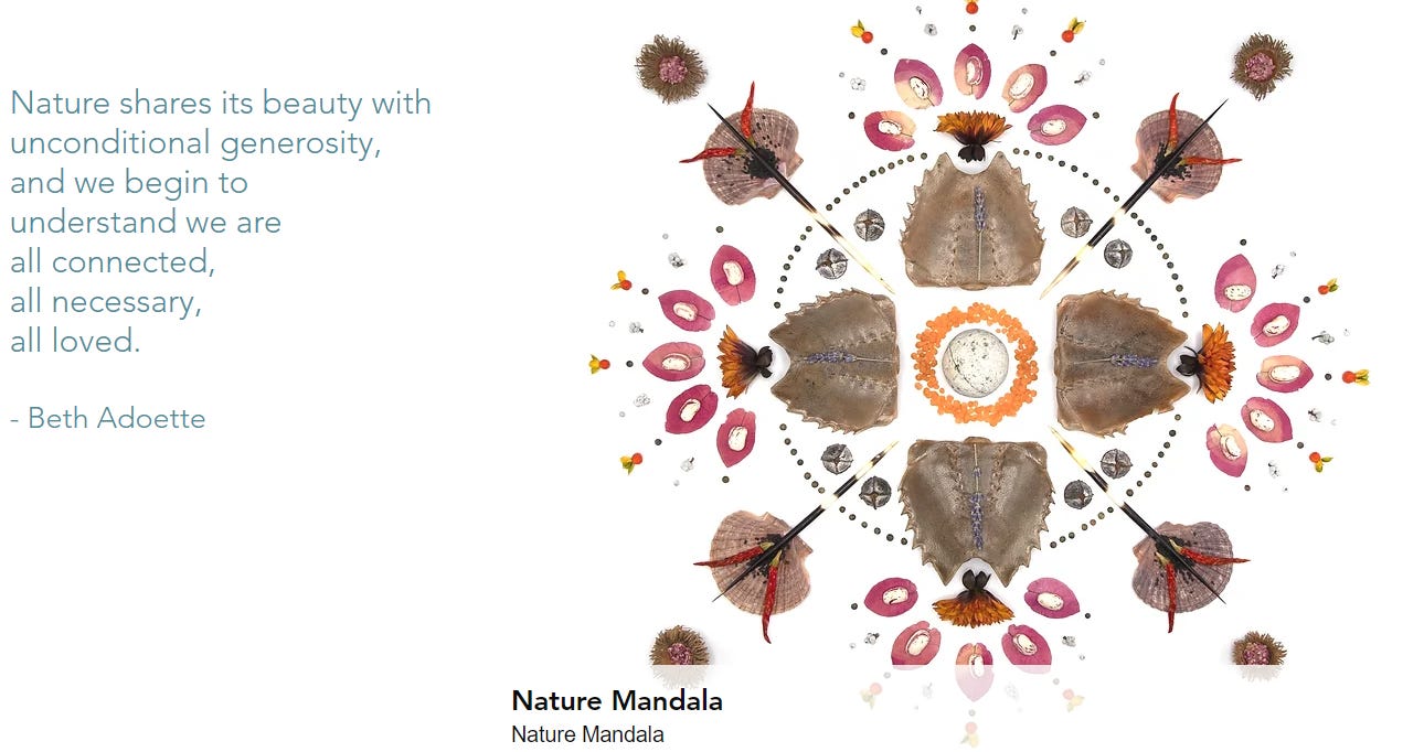 Image of an artistic circle made of seashells and flowers and thorns by artist Beth Adoette. On the left is the following words written by Beth: "Nature shares its beauty with unconditional generosity, and we begin to understand we are all connected, all necessary, all loved." Image of an artistic circle made of seashells and flowers and thorns by artist Beth Adoette. On the left is the following words written by Beth: "Nature shares its beauty with unconditional generosity, and we begin to understand we are all connected, all necessary, all loved."