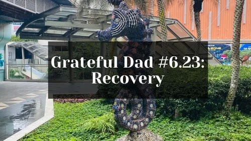 Grateful Dad Recovery