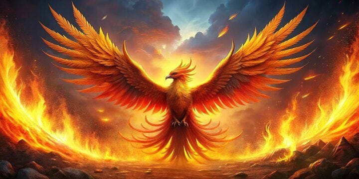 Phoenix Bird Rising From Flames - Aerial Photography