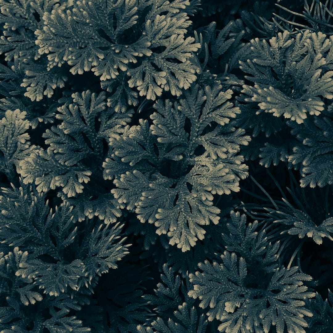 background pattern